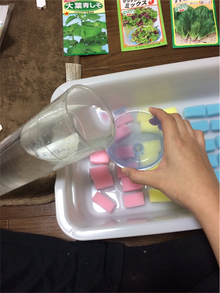 f:id:Zakikikiki:20180218235720j:image f:id:Zakikikiki:20180218235720j:image