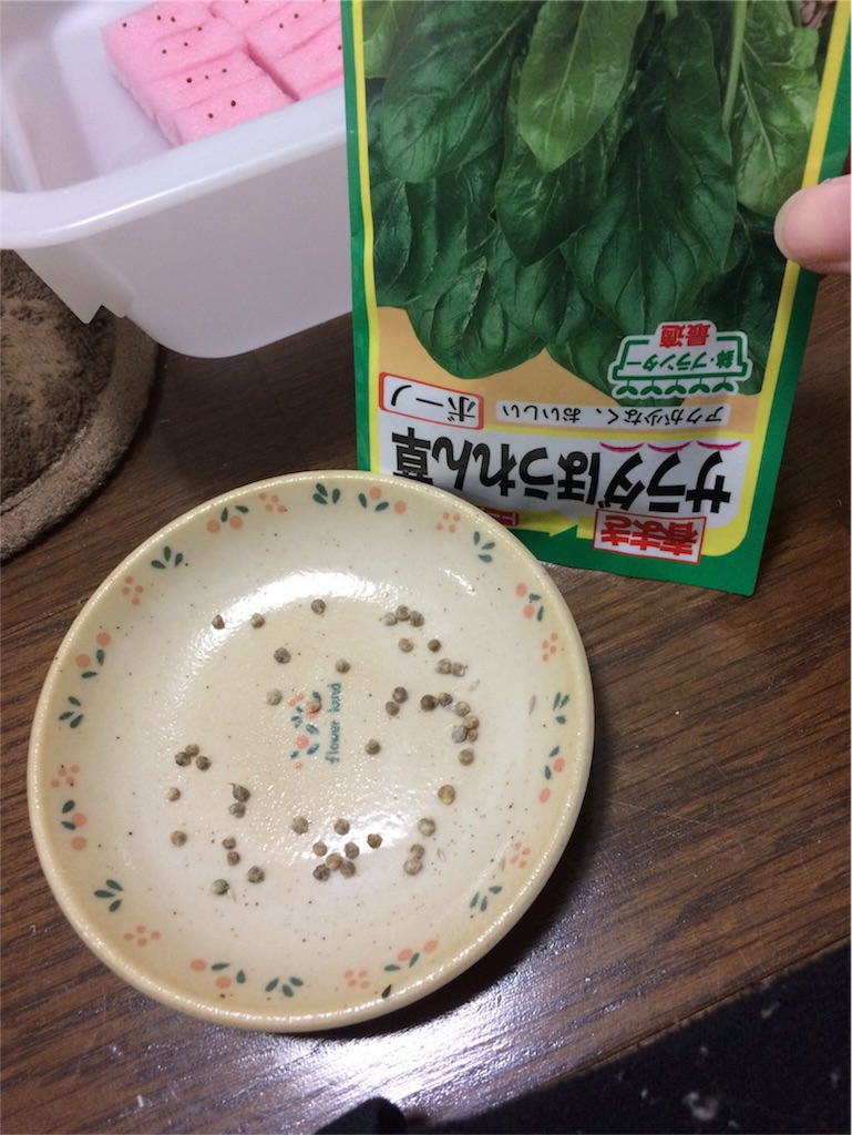 f:id:Zakikikiki:20180218235956j:image f:id:Zakikikiki:20180218235956j:image