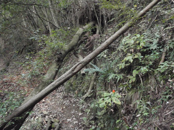 f:id:Zaskar:20111105091415j:image f:id:Zaskar:20111105091415j:image
