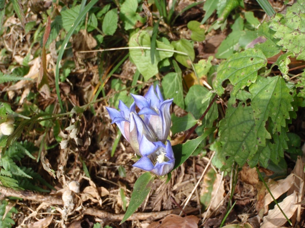 f:id:Zaskar:20111105094625j:image f:id:Zaskar:20111105094625j:image
