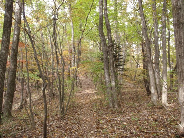 f:id:Zaskar:20111105102205j:image f:id:Zaskar:20111105102205j:image