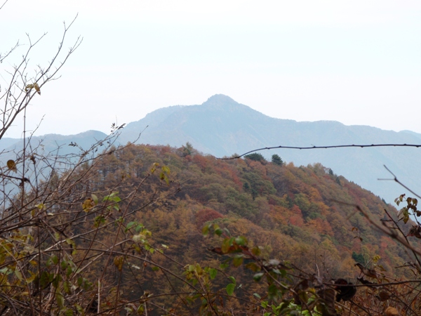f:id:Zaskar:20111105131726j:image f:id:Zaskar:20111105131726j:image