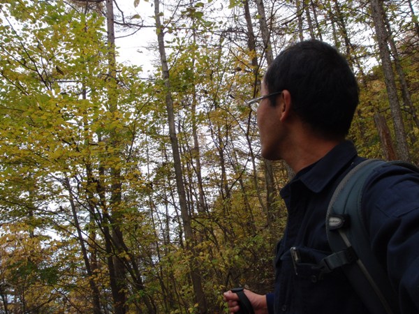f:id:Zaskar:20111105134000j:image f:id:Zaskar:20111105134000j:image