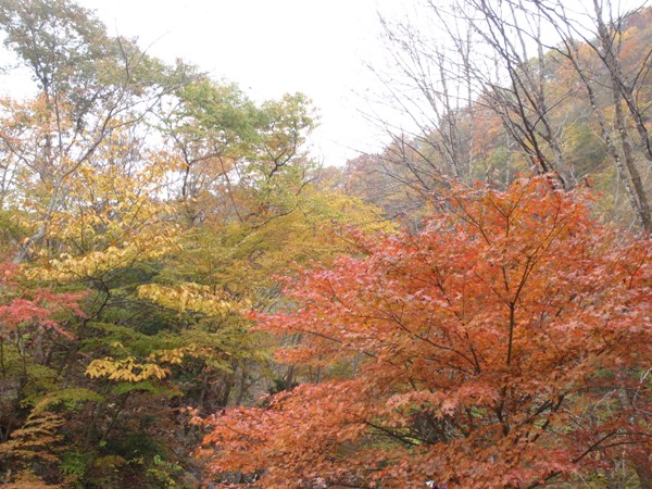 f:id:Zaskar:20111105141317j:image f:id:Zaskar:20111105141317j:image