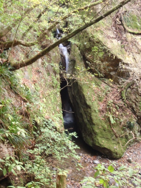 f:id:Zaskar:20111105143550j:image f:id:Zaskar:20111105143550j:image