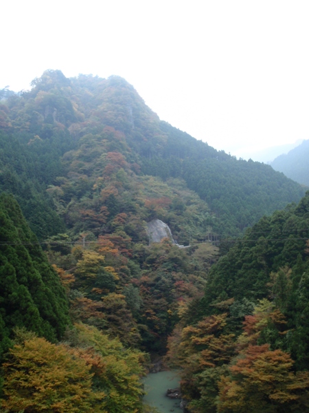 f:id:Zaskar:20111105151700j:image f:id:Zaskar:20111105151700j:image
