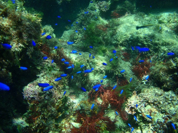 f:id:Zaskar:20120819104532j:image f:id:Zaskar:20120819104532j:image