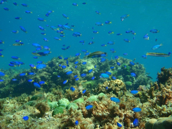 f:id:Zaskar:20120820093424j:image f:id:Zaskar:20120820093424j:image