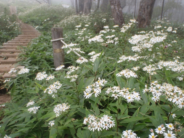 f:id:Zaskar:20120912105209j:image f:id:Zaskar:20120912105209j:image