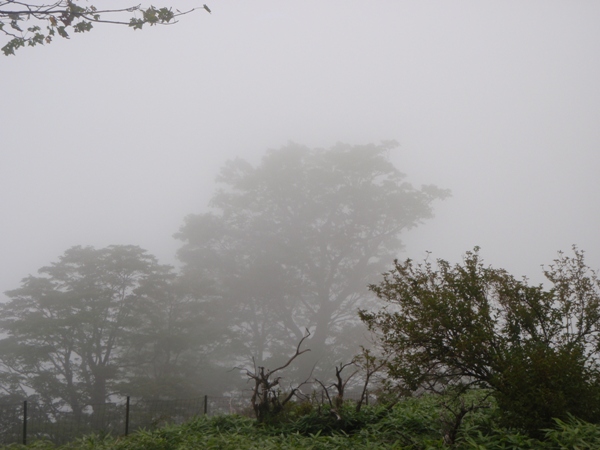 f:id:Zaskar:20120912120252j:image f:id:Zaskar:20120912120252j:image