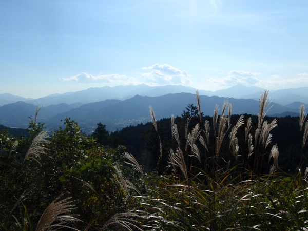 f:id:Zaskar:20121026134351j:image