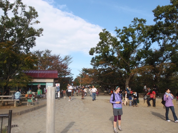 f:id:Zaskar:20121026142804j:image