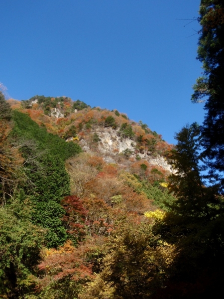 f:id:Zaskar:20121116090837j:image f:id:Zaskar:20121116090837j:image