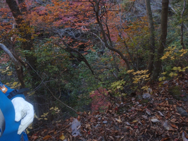 f:id:Zaskar:20121116093423j:image f:id:Zaskar:20121116093423j:image