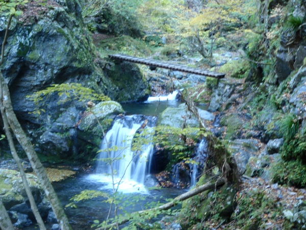 f:id:Zaskar:20121116093741j:image f:id:Zaskar:20121116093741j:image