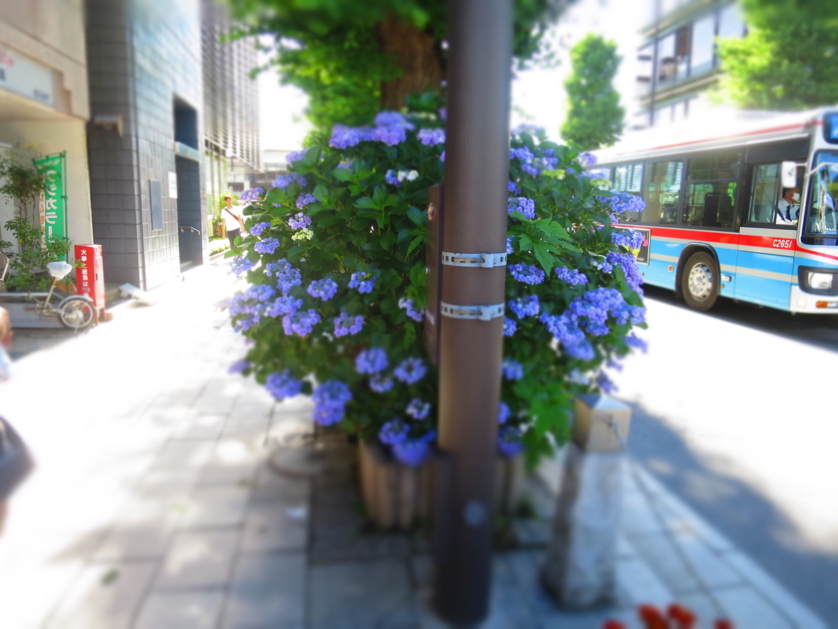 f:id:ZaskerSanetomo:20190616155223j:plain f:id:ZaskerSanetomo:20190616155223j:plain