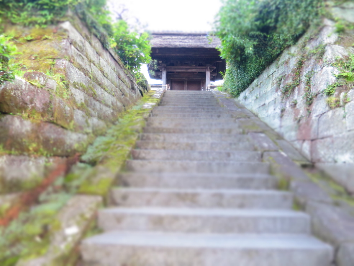 f:id:ZaskerSanetomo:20190616184231j:plain