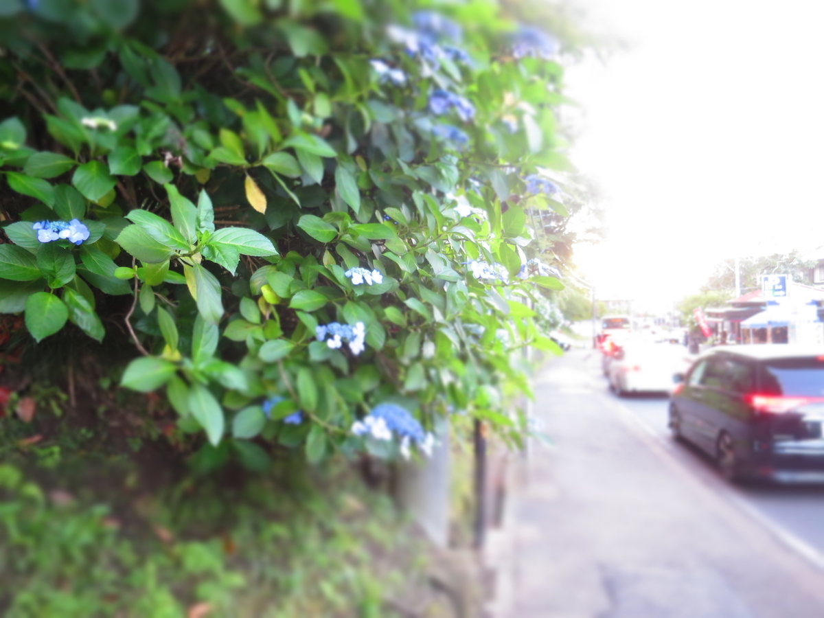 f:id:ZaskerSanetomo:20190616184326j:plain f:id:ZaskerSanetomo:20190616184326j:plain