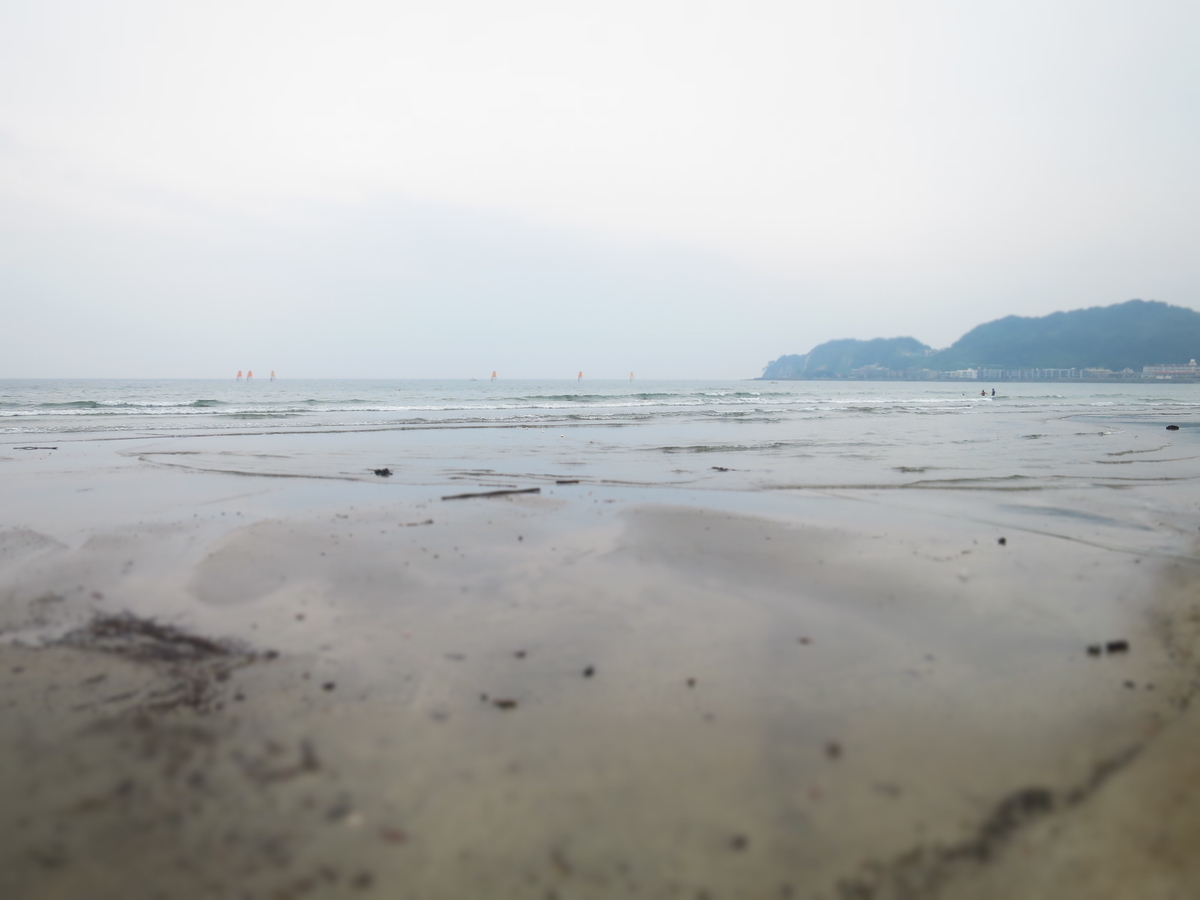 f:id:ZaskerSanetomo:20190703151054j:plain