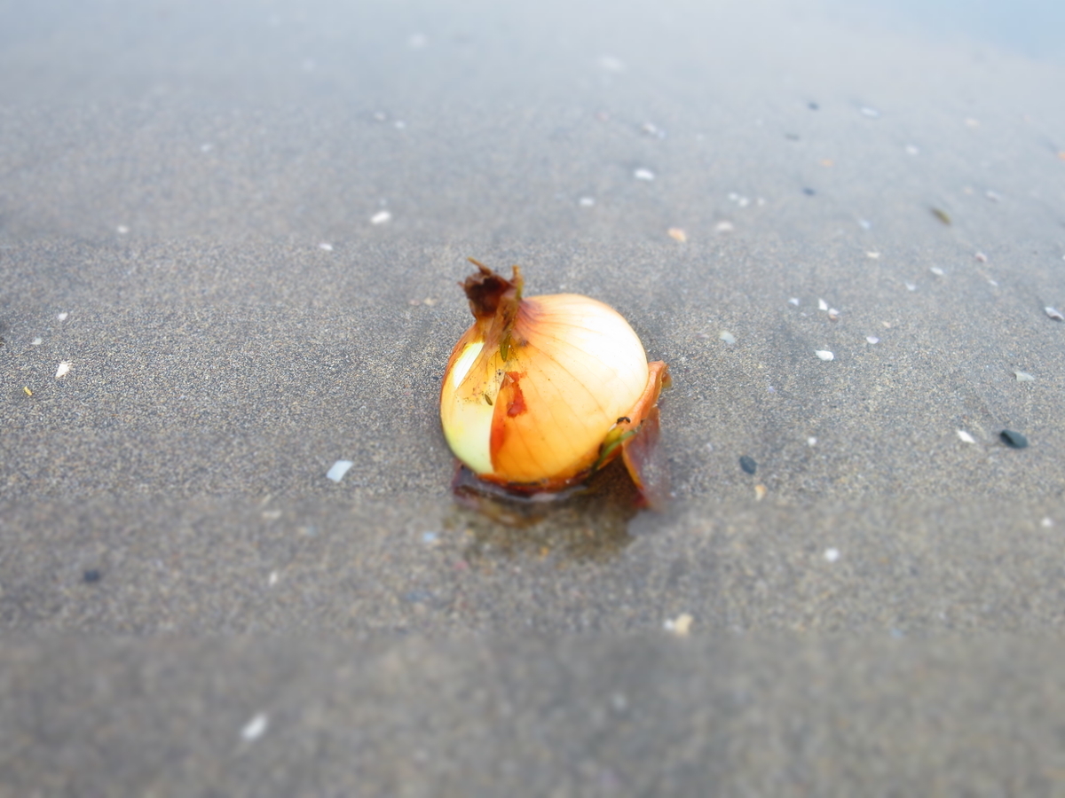 f:id:ZaskerSanetomo:20190703151226j:plain