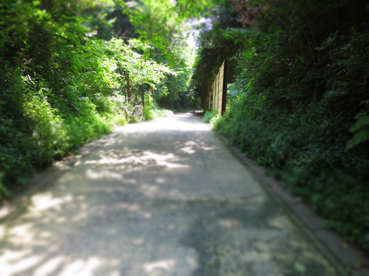 f:id:ZaskerSanetomo:20190725113319j:plain