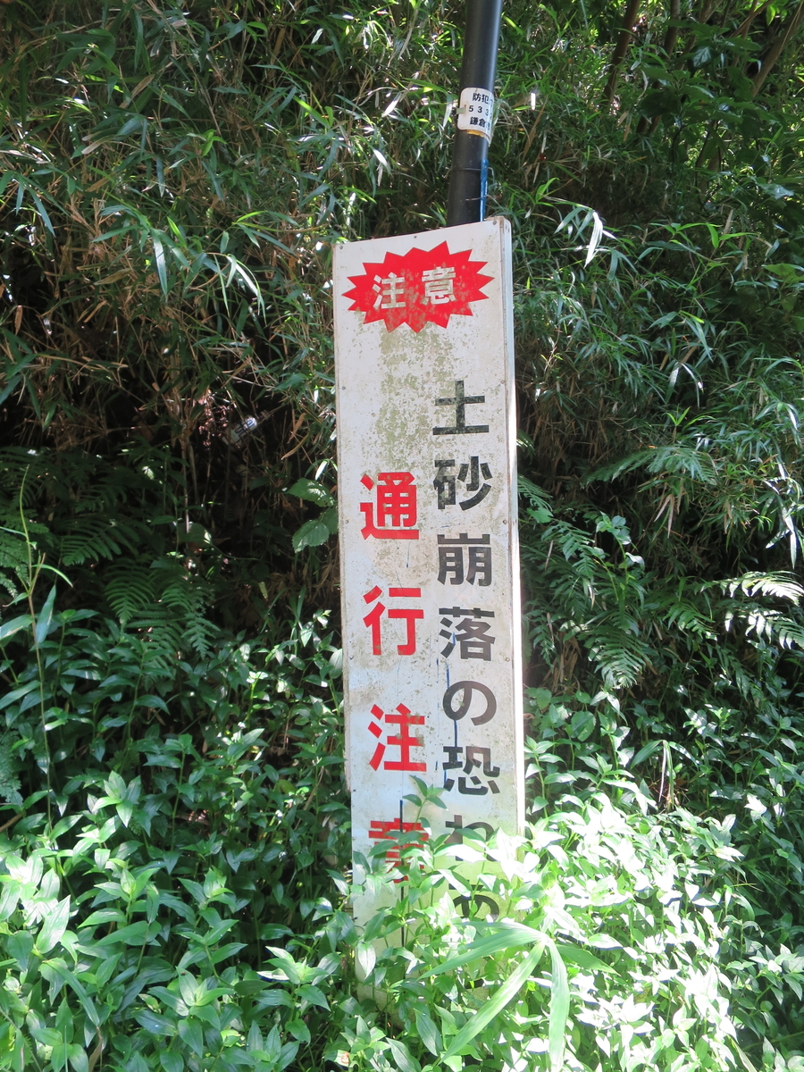f:id:ZaskerSanetomo:20190725113337j:plain