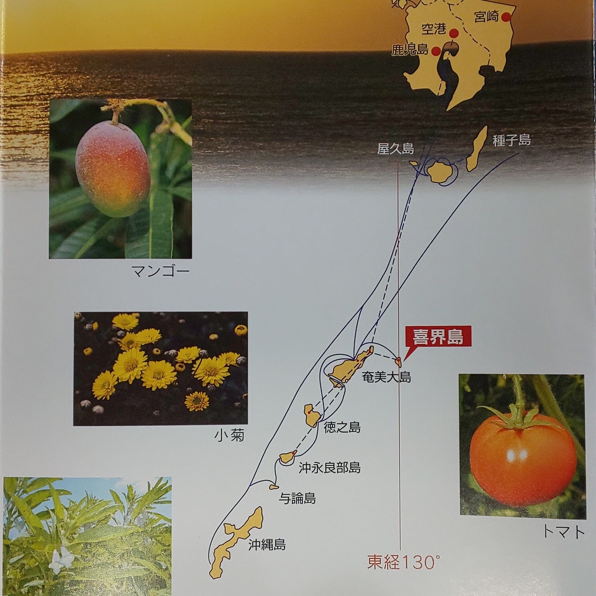f:id:Zeek-Goe:20190504111138j:plain