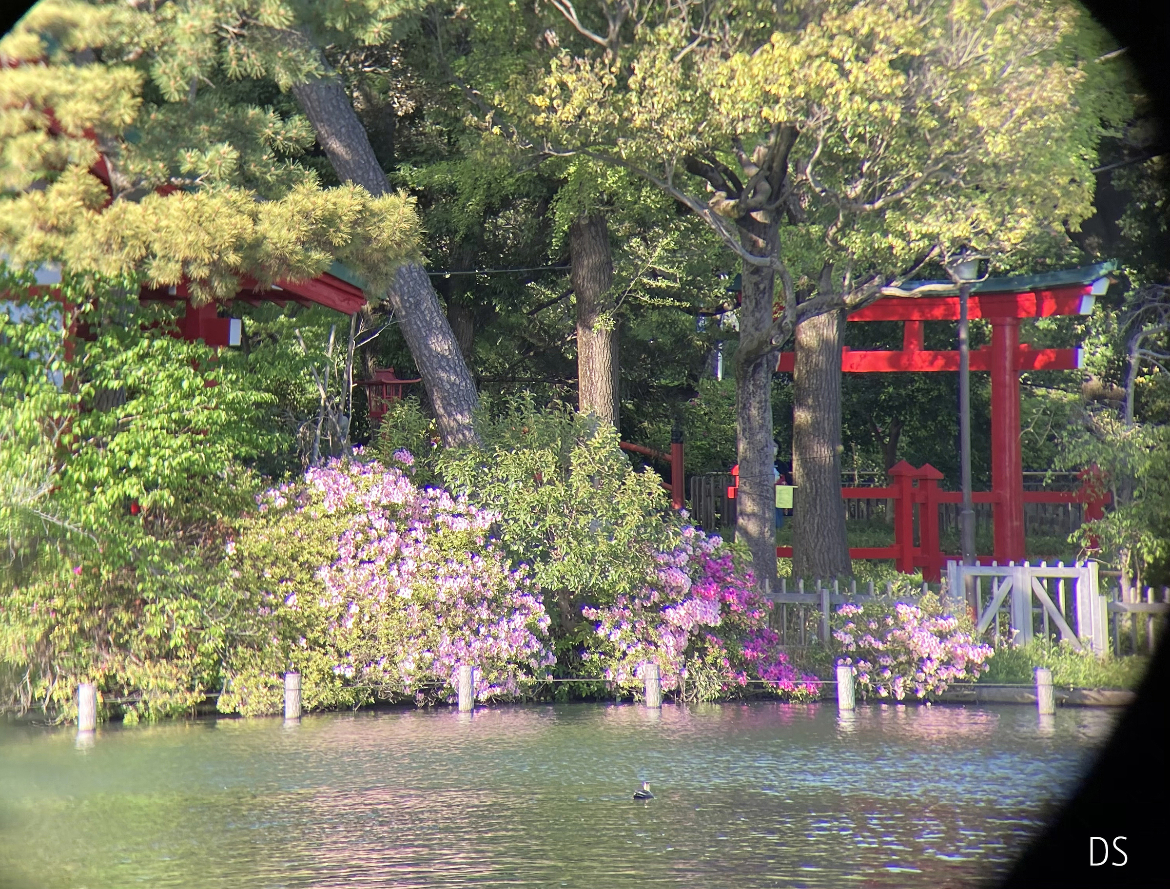 f:id:Zeiss:20210615031459j:plain