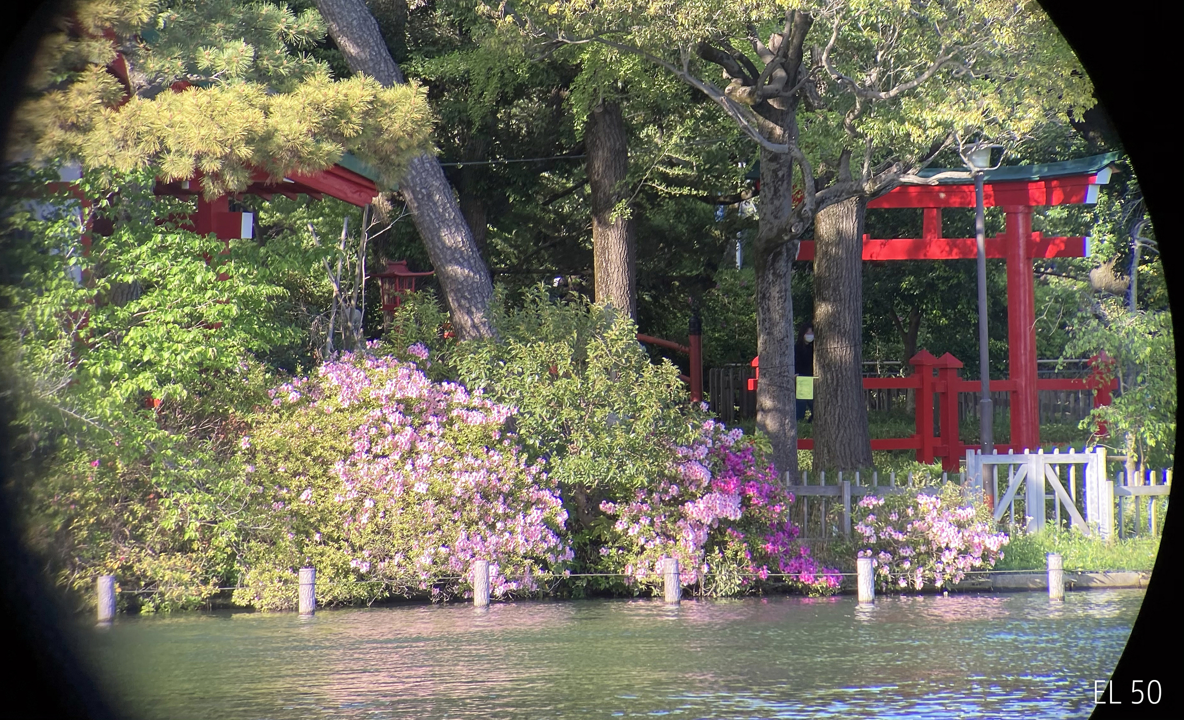 f:id:Zeiss:20210615031448j:plain