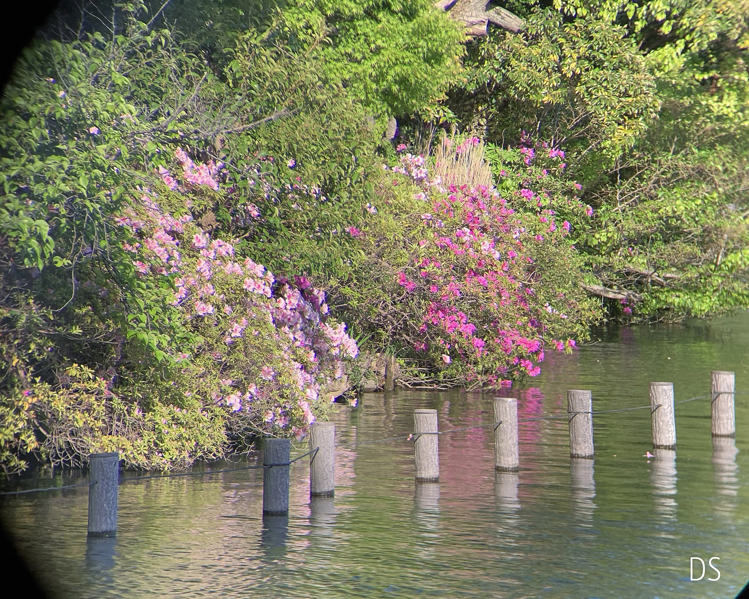 f:id:Zeiss:20210615031607j:plain