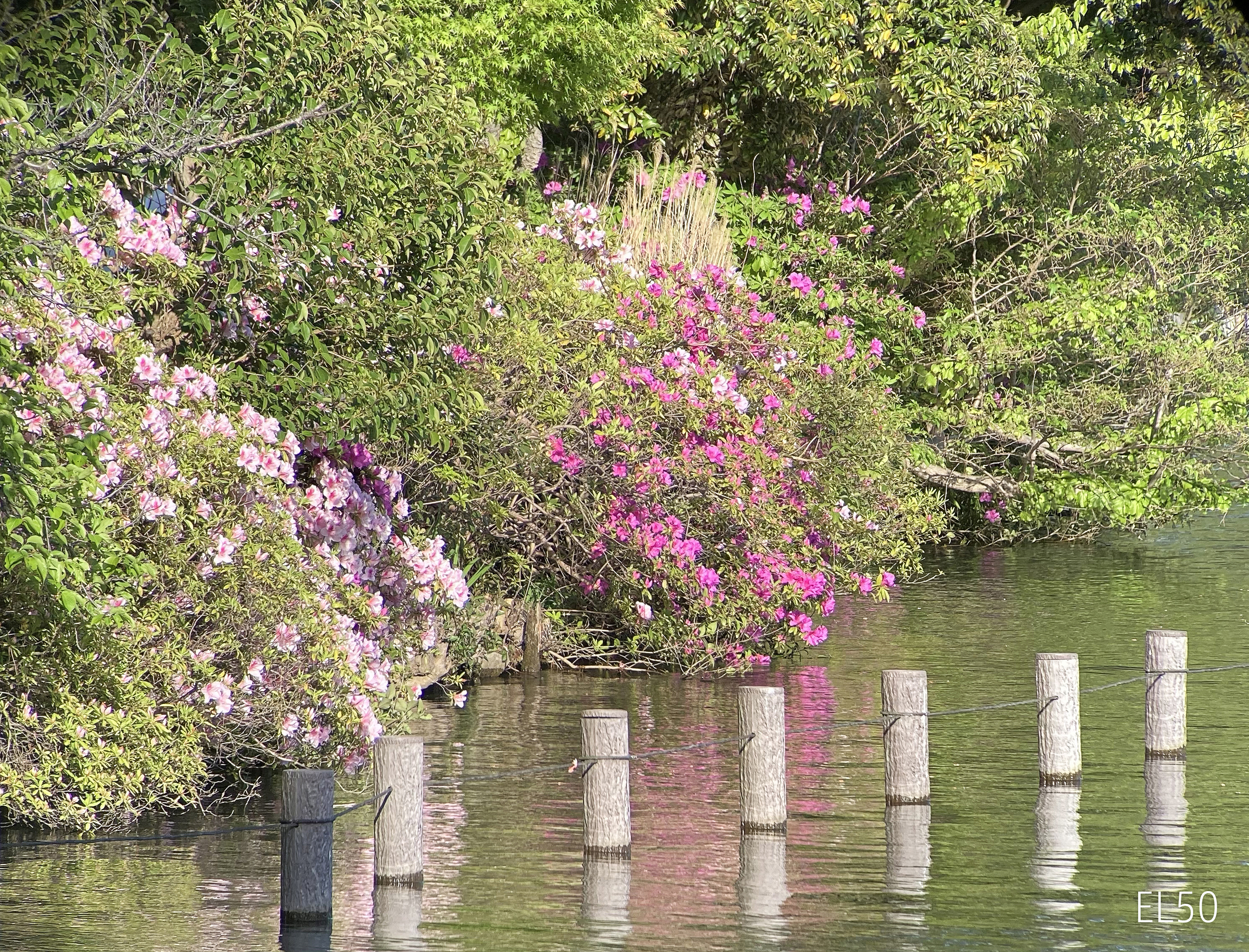 f:id:Zeiss:20210615031509j:plain