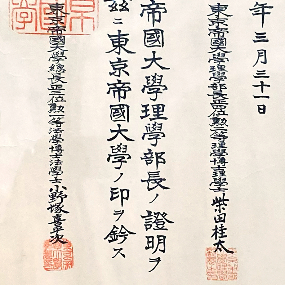 f:id:Zeiss:20210901111152j:plain