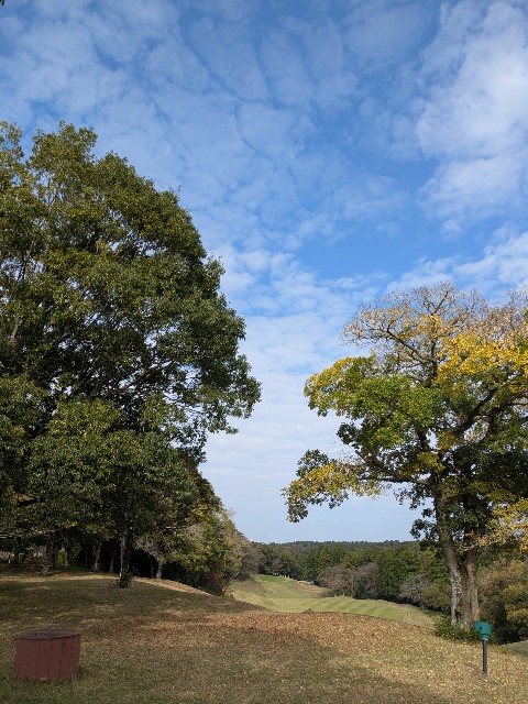 f:id:Zera__san:20251109140926j:image