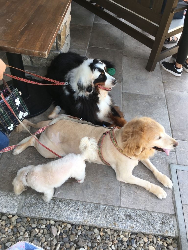 f:id:Zero-CooL:20180819230836j:plain f:id:Zero-CooL:20180819230836j:plain