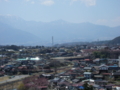 [風景・景観][桜]三峰川沿いの桜 カットNo.001