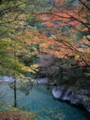 [風景・景観][森林][紅葉][河川]紅葉の渓谷