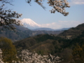 [花][桜][風景・景観][空][山]