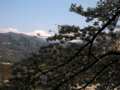 [花][桜][風景・景観][空][山]