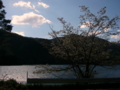 [風景・景観][山][湖]長野県・木崎湖