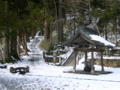 [風景・景観][史跡・名勝][神社・仏閣]戸隠神社・中社にて