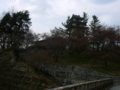 [風景・景観][花][桜]高遠城址公園（長野県伊那市）