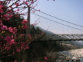 [風景・景観][空][河川]天白公園の桃介橋（長野県木曽郡南木曽町）