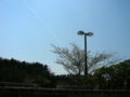 [風景・景観][空][桜]道の駅のとじま（石川県七尾市）