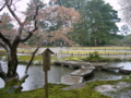 [風景・景観][史跡・名勝][桜]兼六園（石川県金沢市）