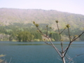 [風景・景観][湖]北竜湖（長野県飯山市）