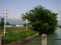 [風景・景観][空][河川]拾ヶ堰（長野県安曇野市）