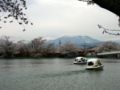 [風景・景観][桜][花]臥竜公園 （長野県須坂市）