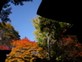 [風景・景観][史跡・名勝][紅葉][神社・仏閣]霊松寺 （長野県大町市）