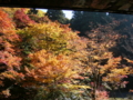 [風景・景観][史跡・名勝][紅葉][神社・仏閣]霊松寺 （長野県大町市）