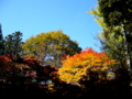 [風景・景観][史跡・名勝][紅葉]霊松寺 （長野県大町市）